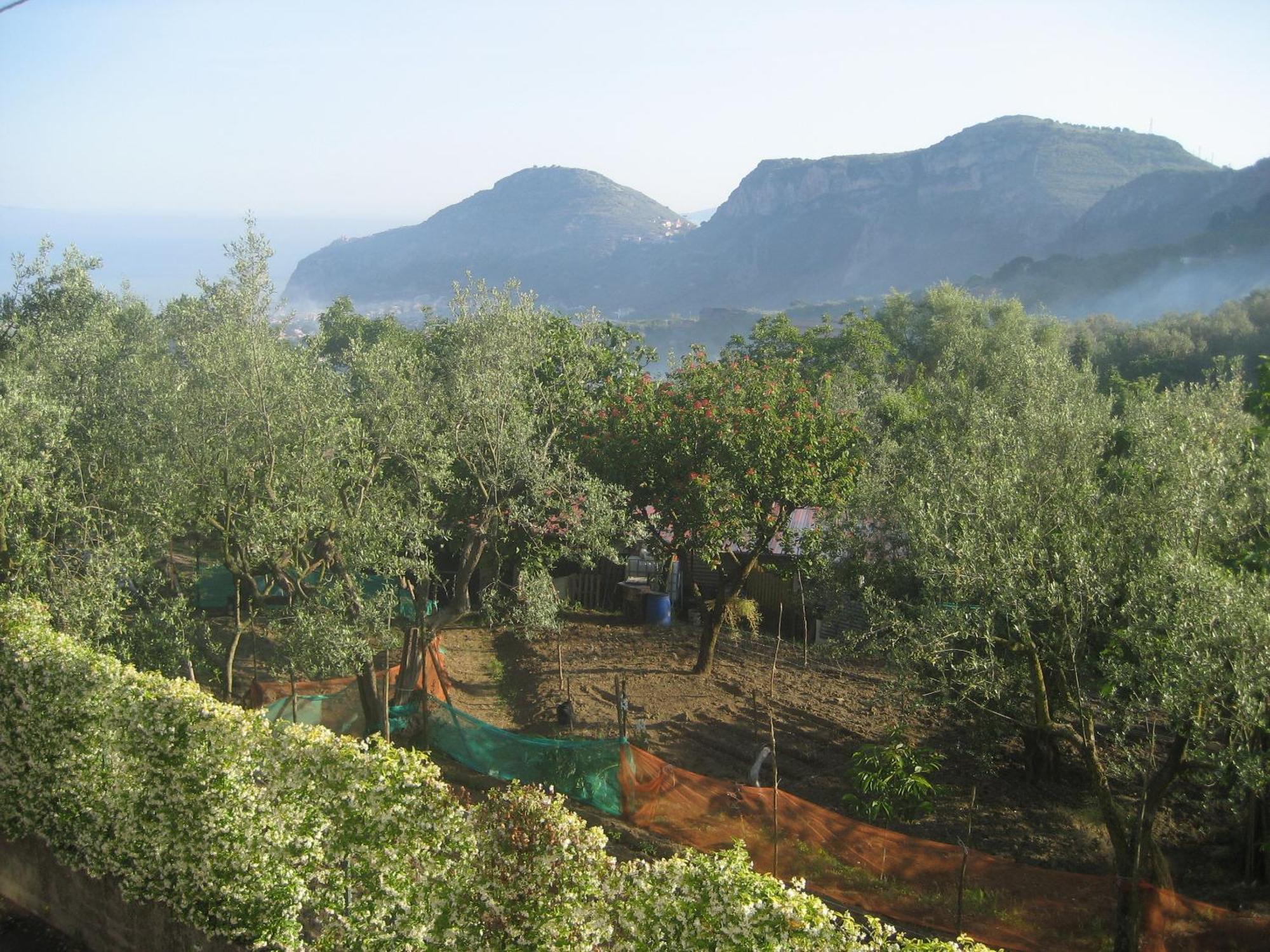 Royal Hills Piano di Sorrento